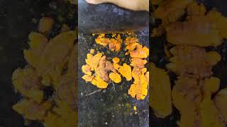 ගාපු ගමන් රත්තරන් පාට වෙන අමුකහ😉#turmeric #foryou #trending #srilanka #india #bangladesh #vlog