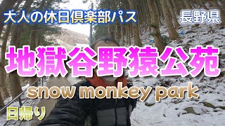 snow monkey park 【地獄谷野猿公苑】（前）格付けひとり旅 【長野駅から野猿公苑】長野電鉄車両トラブルのためバスで向かいました。その一部始終をご覧いただきましょう。/大人の休日倶楽部パス