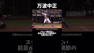 日ハム万波中正選手のバッティングフォーム解説#プロ野球#日本ハムファイターズ#万波中正#バッティングフォーム