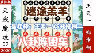 象棋神少帅：碧桂园杯第二局 王天一迷途羔羊 郑惟桐摆八卦阵困车