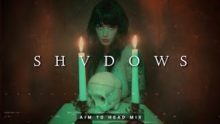 Dark Hardwave / Witch House Mix 'SHVDOWS'