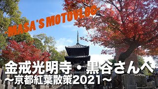 京都紅葉散策2021「金戒光明寺・黒谷さんへ」　masa'smotovlog