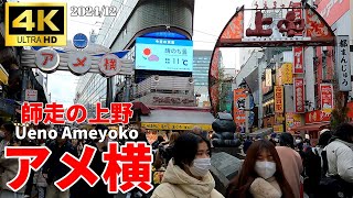 【4K Japan】※速報※ 2024.12 師走の上野 アメ横『December Ueno Ameyoko』 #上野 #アメ横 #師走 #ストリートフード