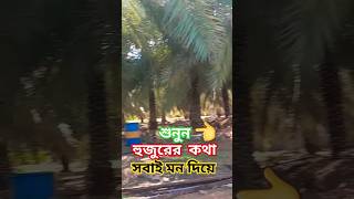 আল্লাহ আমাদের হেদায়েত দান করুন আমিন