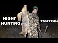 Hunting Predators at Night on Public Land - Coyotes Bobcats & Foxes