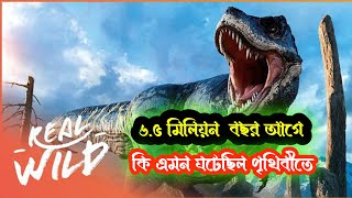 ৬.৫ মিলিয়ন বছর আগে আমাদের পৃথিবীর পরিস্থিতি কেমন ছিল 6.5 million ago how to in earth