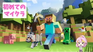 Minecraft｜マイクラ初心者ハードコア 15回めの人生スタート