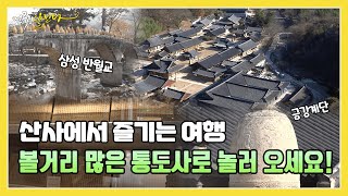 산사에서 즐기는 여행, 통도사로 놀러 오세요!  | KBS 211206 방송