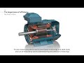 why is electric motor efficiency so important