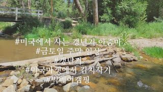 [켈리일상 Good Life ]미국일상 Vlog/금토일 주말일상/갱년기 아줌마의불금/미국sprouts market가면김치도팔아요/빅베어캠핑/계곡물에발담그기