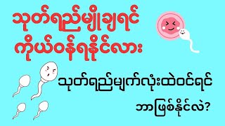 သုတ်ရည်မျိုချရင် ကိုယ်ဝန်ရနိုင်လားသုတ်ရည်မျက်လုံးထဲ ဝင်ရင် ဘာဖြစ်နိုင်လဲ