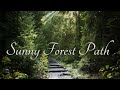 SUNNY FOREST PATH Ambience with music - sounds of forest in summer with ambient fantasy music