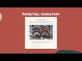 Teasing Song / Limping Dance - Modern Mandolin Quartet