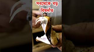 সবথেকে বড় বিষ দাঁত এই সাপের, দেখলেই কলিজা শুকিয়ে যাবে | World's largest Fangs Gaboon Viper #snake