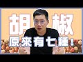 【香料QA#7】你以為胡椒只有兩種？！｜胡椒要選印尼的？！｜紅胡椒竟然不是胡椒！｜味旅Spices Journey