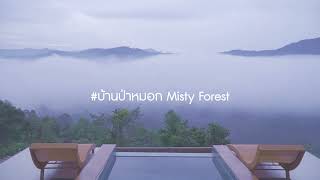 #short บ้านป่าหมอก Misty Forest #