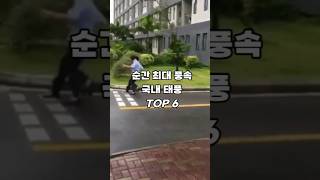 국내 역대 태풍 중 가장 바람이 강했던 태풍은?