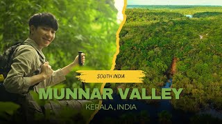 Discover the Enchanting Beauty of Munnar Valley || Kerala’s Green Paradise