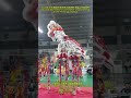 #liondance  季军 2nd Runner-up - 马来西亚吉隆坡仁威龍獅體育會 Jun Wai  KL - 2024 Temenggung Cup