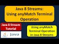 Java 8 Streams: Using anyMatch Terminal Operation | Streams in Java 8