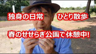 独身の日常、ひとり散歩、春せせらぎ公園で休憩中!