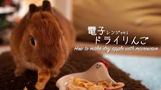 チンでドライりんごを作る-もぐたん-【ネザーランドドワーフ】【うさぎ】How to make the dry apple-