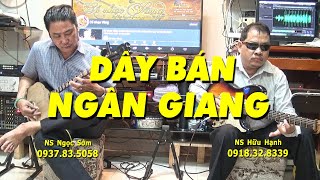 DÂY BÁN NGÂN GIANG - NGHE BUỒN NÃO NUỘT | Hữu Hạnh - Ngọc Sớm hòa tấu Phụng hoàng và Vọng cổ 4,6