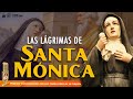 Las lágrimas de Santa Mónica🎙️122° PÓDCAST Caballeros de la Virgen