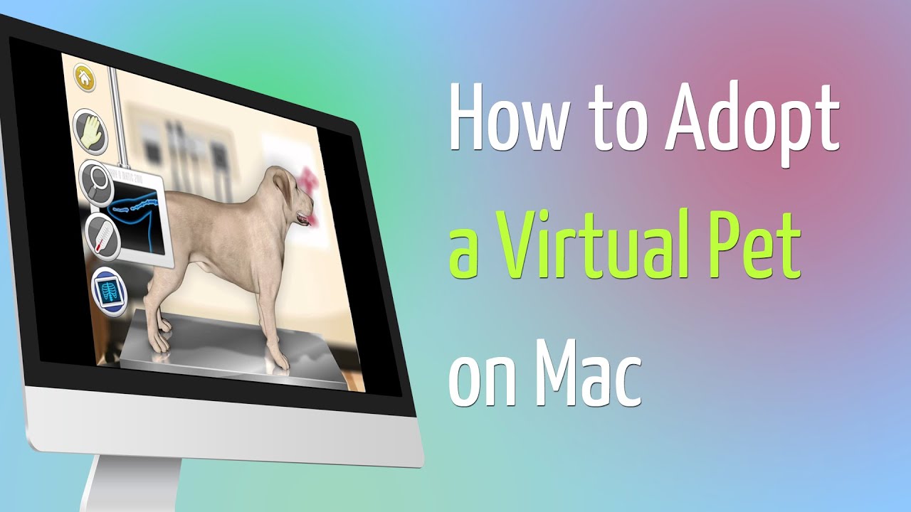 How To Adopt Virtual Pet Youtube