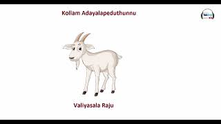 ആട്ടിൻ പാൽ പാക്കറ്റിൽ | Kollam Adayalapeduthunnu | Valiyasala Raju |Community Radio Benziger 107.8