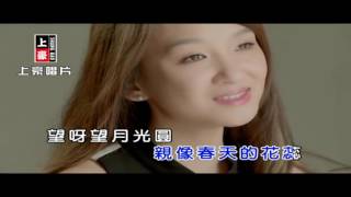 林良歡 - 我愛你千萬年 [ KTV ]