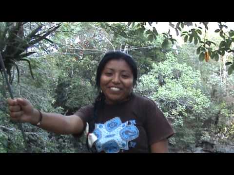 Escuchando El Idioma Maya Youtube