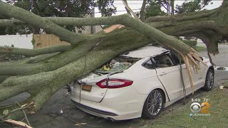Storms Cause Destruction, Outages On Long Island