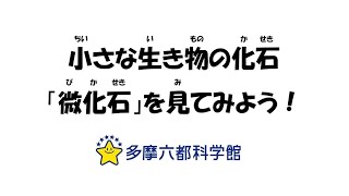 小さな生き物の化石「微化石」を見てみよう