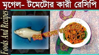 মৃগেল মাছ ভুনা । মৃগেল মাছের রেসিপি । টমেটো দিয়ে মৃগেল মাছ রান্না । মাছের ঝোল । Mrigal Curry । Fish