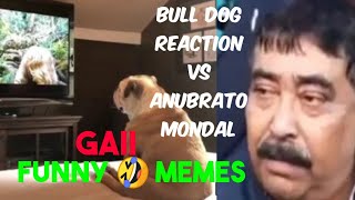 Bull Dog Reaction Vs Anubrato Mondal  Reaction