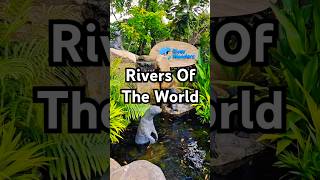 RIVER WONDERS 🇸🇬 #fish #forest #amazon #wildlife #explore #walkthrough #amazing #panda #tour