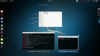 Shellcode and dll Injections101