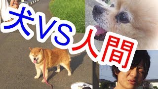 【ドッキリ】犬に死んだふりドッキリ仕掛けてみたｗ