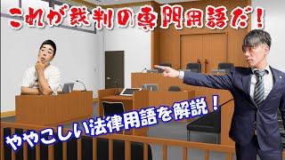 【解説】法律で使う言葉は一般の認識とは意外と異なっている【法律】