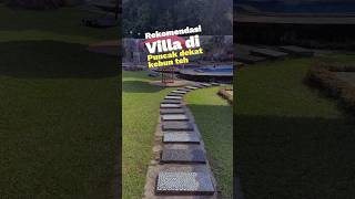 Rekomendasi villa di puncak dekat kebun teh #infovillapuncak #otwvillapuncak