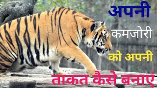 अपनी कमजोरी को अपनी ताकत बनाओ Motivational Video In Hindi || Inspirational Speech In Hindi