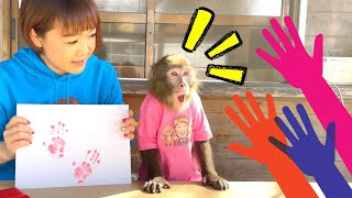 What does a monkey's handprint look like?