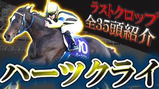 【2歳馬】ありがとうハーツクライ！ラストクロップ全35頭を紹介します！【pog23-24】