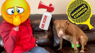 PRANK WARS | Robby and Penny