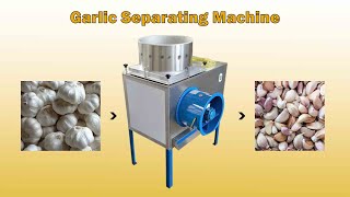 Low-price Garlic Clove Separating Machine (100-1500kg/h) | How To Separate Garlic Cloves From Bulbs?