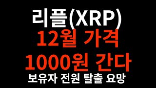 리플 12월 가격 1000원까지 폭락ㄷㄷ #리플 #리플코인 #리플코인전망 #리플전망 #xrp #리플etf #리플실시간