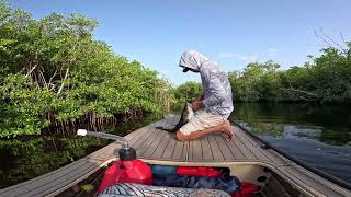 Everglades camping and fishing adventures.