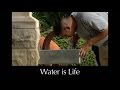 Water is Life Summary Overview - L1.0 CCE