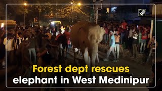 Forest dept rescues elephant in West Medinipur